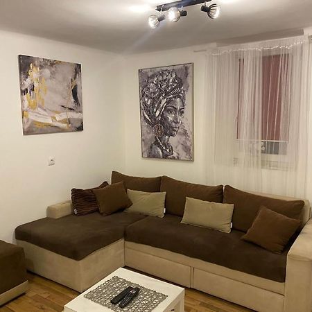 Lana Apartman Belgrade Extérieur photo