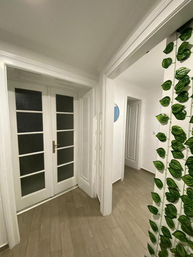 Lana Apartman Belgrade Extérieur photo
